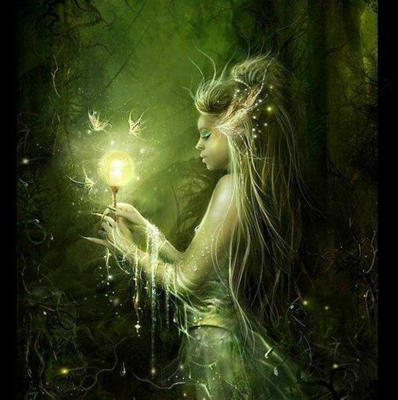 fairy11218